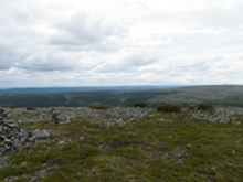 aavamaisema.jpg