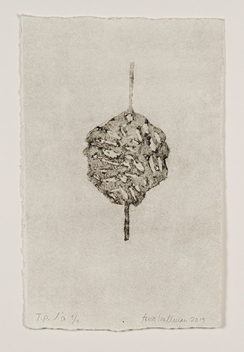 eeva-snellman_carborundum_web.jpg