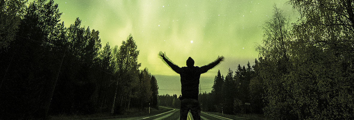 Student experiences in the University of Lapland - Study in Lapland - Study Above Ordinary