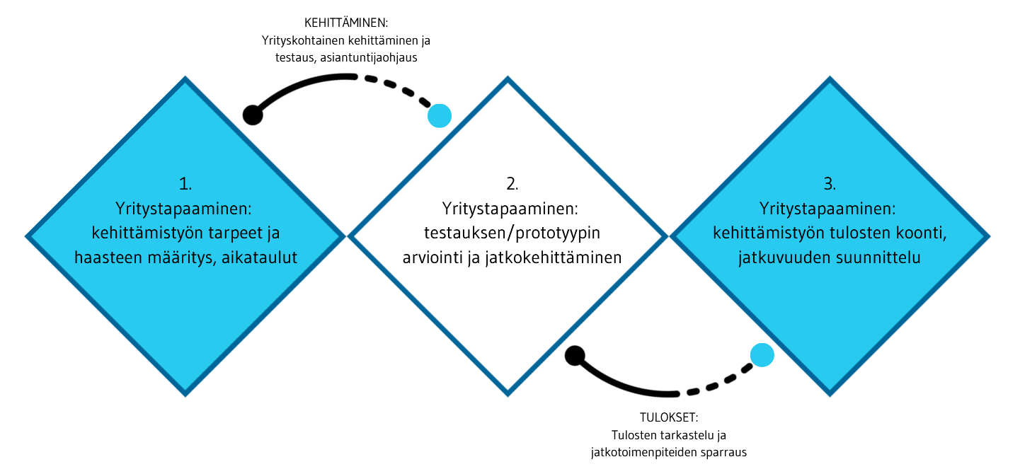 Kehittämisprosessi, PP.png