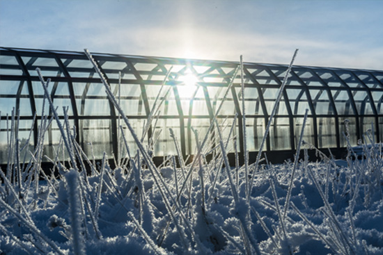 Arktikum_web.jpg