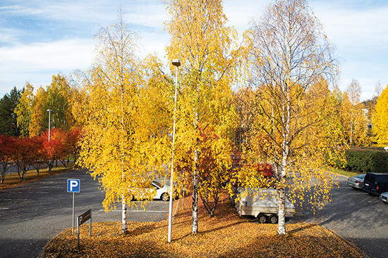 kide_2_2022_katseulos_07.jpg