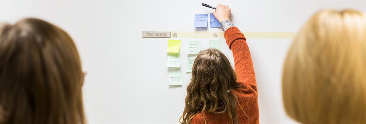 Development Services for Organizations