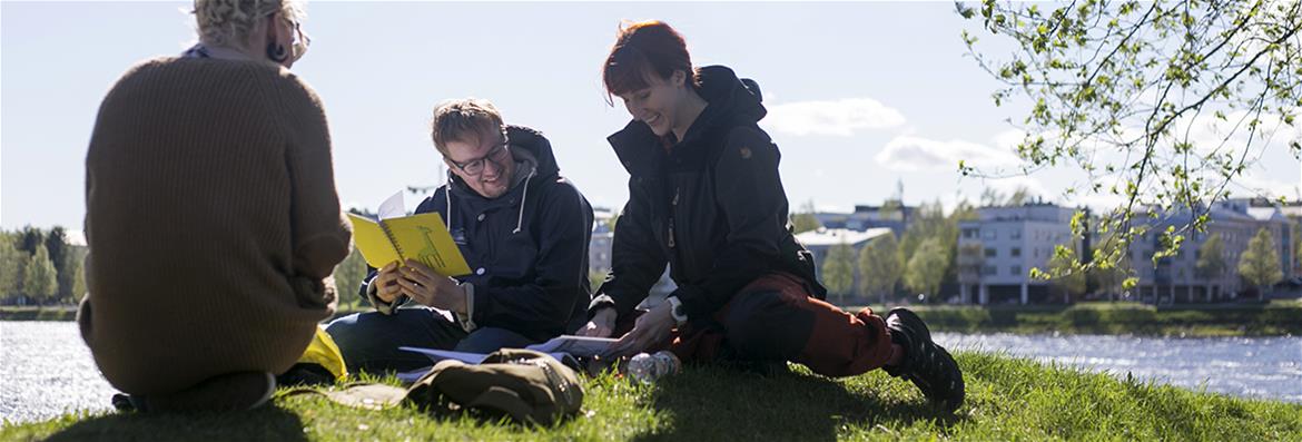 Yhteisö, taide ja ympäristö