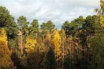 kide_2_2022_katseulos_01.jpg