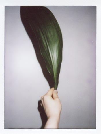 Minttu Ypyä: Untitled. 2014. Polaroid. 5 x 6 cm.