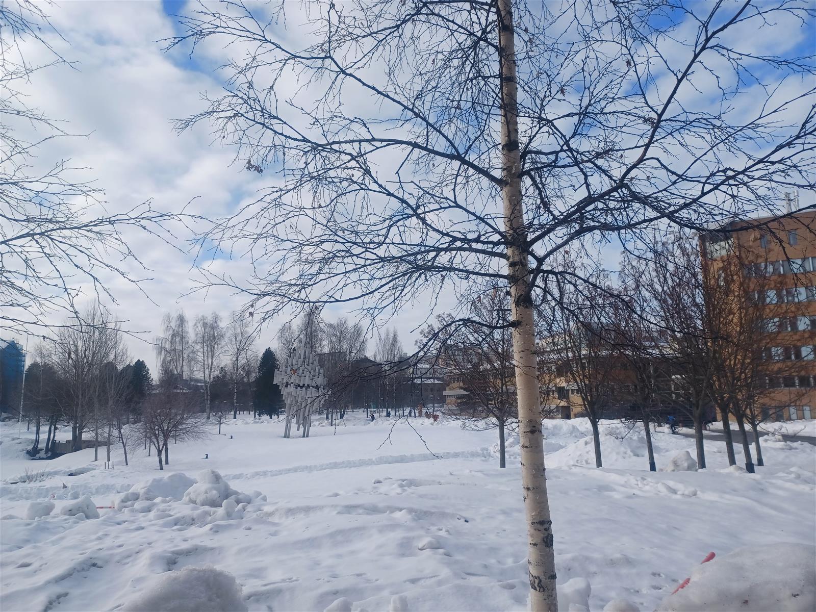 Umeå_.jpg