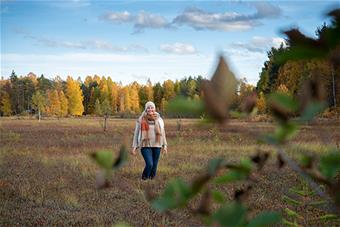kide_2_2022_kolmetarinaa_01_höckert.jpg