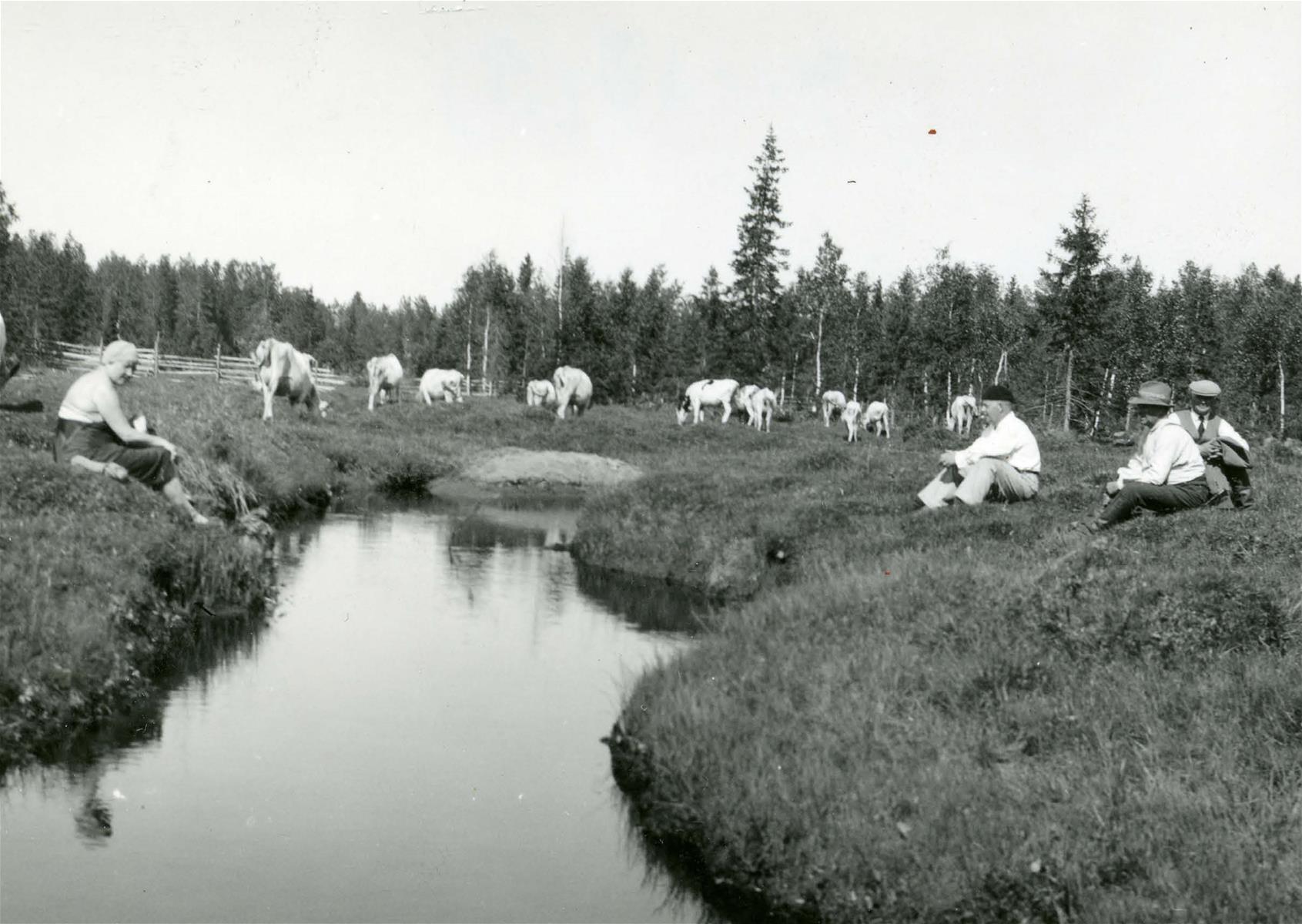 Paivi_Soppela_mallikuvat_2505223.jpg
